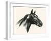 Man O' War; Champion Of Champions-C.W. Anderson-Framed Art Print