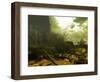 Man of Earth-Cristina Carra Caso-Framed Photographic Print