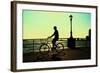 Man on a Bicycle, Battery Park, New York City-Sabine Jacobs-Framed Photographic Print