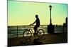 Man on a Bicycle, Battery Park, New York City-Sabine Jacobs-Mounted Photographic Print