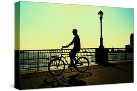Man on a Bicycle, Battery Park, New York City-Sabine Jacobs-Stretched Canvas