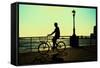 Man on a Bicycle, Battery Park, New York City-Sabine Jacobs-Framed Stretched Canvas