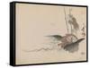 Man on a Treadmill-Shibata Zeshin-Framed Stretched Canvas