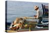 Man on Board a Fishing Boat, Sami, Kefalonia, Greece-Peter Thompson-Stretched Canvas