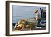 Man on Board a Fishing Boat, Sami, Kefalonia, Greece-Peter Thompson-Framed Photographic Print