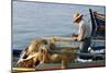 Man on Board a Fishing Boat, Sami, Kefalonia, Greece-Peter Thompson-Mounted Photographic Print