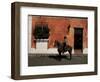 Man on Horse in Front of a Typical Painted Wall, Antigua, Guatemala, Central America-Upperhall-Framed Photographic Print