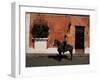 Man on Horse in Front of a Typical Painted Wall, Antigua, Guatemala, Central America-Upperhall-Framed Photographic Print