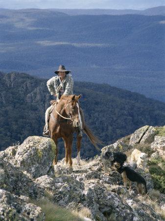 https://imgc.allpostersimages.com/img/posters/man-on-horse-with-dogs-the-man-from-snowy-river-victoria-australia_u-L-P1LC5T0.jpg?artPerspective=n