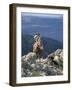 Man on Horse with Dogs, 'The Man from Snowy River', Victoria, Australia-Claire Leimbach-Framed Photographic Print