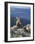 Man on Horse with Dogs, 'The Man from Snowy River', Victoria, Australia-Claire Leimbach-Framed Photographic Print