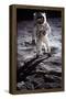 Man on the Moon-null-Framed Poster