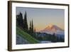 Man on Trail, Mt Adams Back, Goat Rocks Wilderness, Washington, USA-Gary Luhm-Framed Photographic Print