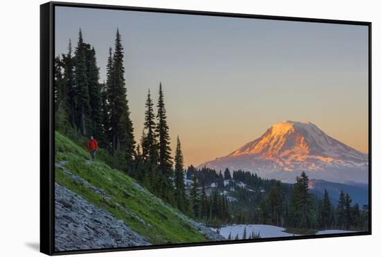 Man on Trail, Mt Adams Back, Goat Rocks Wilderness, Washington, USA-Gary Luhm-Framed Stretched Canvas