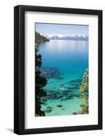 Man paddle boarding in a lake, Lake Tahoe, California, USA-Panoramic Images-Framed Photographic Print