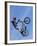 Man Performing Trick on a Bicycle-null-Framed Photographic Print