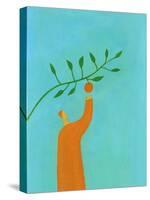 Man picking an orange-Marie Bertrand-Stretched Canvas