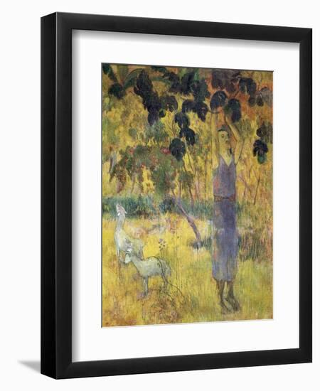 Man Picking Fruit from a Tree, 1897-Paul Gauguin-Framed Premium Giclee Print