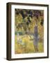 Man Picking Fruit from a Tree, 1897-Paul Gauguin-Framed Giclee Print