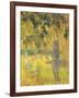 Man Picking Fruit from a Tree, 1897-Paul Gauguin-Framed Giclee Print