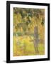 Man Picking Fruit from a Tree, 1897-Paul Gauguin-Framed Giclee Print