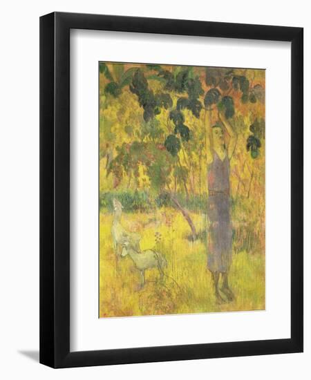 Man Picking Fruit from a Tree, 1897-Paul Gauguin-Framed Giclee Print