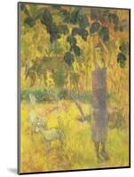 Man Picking Fruit from a Tree, 1897-Paul Gauguin-Mounted Giclee Print