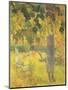 Man Picking Fruit from a Tree, 1897-Paul Gauguin-Mounted Giclee Print