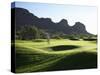 Man Playing Golf on Course-Ryan Mcvay-Stretched Canvas