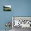 Man Playing Golf on Course-Ryan Mcvay-Photographic Print displayed on a wall