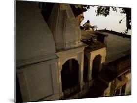 Man Playing Sarod on Terrace, India-John Henry Claude Wilson-Mounted Photographic Print