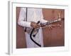 Man Playing Traditional Berber Amzhad, Morocco-Merrill Images-Framed Photographic Print