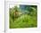 Man Poking a Coconut from a Tree on His Farm, Delices, Dominica, Windward Islands, West Indies, Car-Kim Walker-Framed Photographic Print