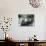 Man Preparing Tea Inside His Camping Trailer-null-Photo displayed on a wall