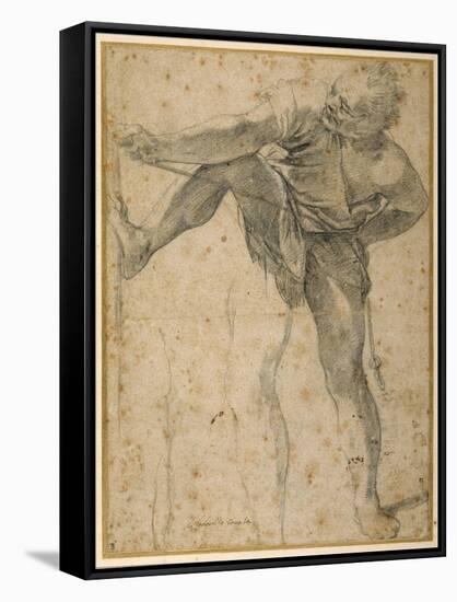 Man Pulling on a Rope, His Left Leg Rehearsed a Second Time-Lodovico Carracci-Framed Stretched Canvas