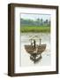 Man Punting Bamboo Raft on Situ Cangkuang Lake at This Village known for its Temple-Rob-Framed Photographic Print