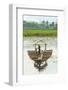 Man Punting Bamboo Raft on Situ Cangkuang Lake at This Village known for its Temple-Rob-Framed Photographic Print