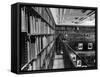 Man Reading Book Among Shelves on Balcony in New York Public Library-Alfred Eisenstaedt-Framed Stretched Canvas