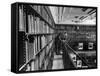 Man Reading Book Among Shelves on Balcony in New York Public Library-Alfred Eisenstaedt-Framed Stretched Canvas