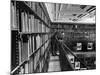 Man Reading Book Among Shelves on Balcony in New York Public Library-Alfred Eisenstaedt-Mounted Photographic Print