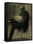 Man Reading-Georges Seurat-Framed Stretched Canvas