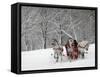 Man Rides a Sleigh Carrying Tourists in Park on a Bank of Moskva River at Outskirts of Moscow-null-Framed Stretched Canvas