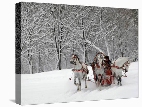 Man Rides a Sleigh Carrying Tourists in Park on a Bank of Moskva River at Outskirts of Moscow-null-Stretched Canvas