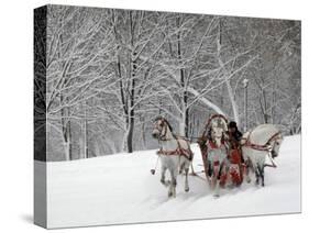 Man Rides a Sleigh Carrying Tourists in Park on a Bank of Moskva River at Outskirts of Moscow-null-Stretched Canvas