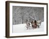 Man Rides a Sleigh Carrying Tourists in Park on a Bank of Moskva River at Outskirts of Moscow-null-Framed Photographic Print