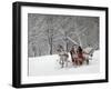 Man Rides a Sleigh Carrying Tourists in Park on a Bank of Moskva River at Outskirts of Moscow-null-Framed Photographic Print