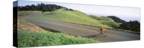 Man Riding a Bicycle, Bolinas Ridge, Marin County, California, USA-null-Stretched Canvas