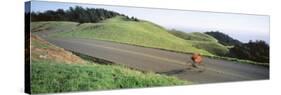 Man Riding a Bicycle, Bolinas Ridge, Marin County, California, USA-null-Stretched Canvas