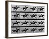 Man Riding Galloping Horse-null-Framed Photographic Print