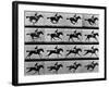 Man Riding Galloping Horse-null-Framed Photographic Print